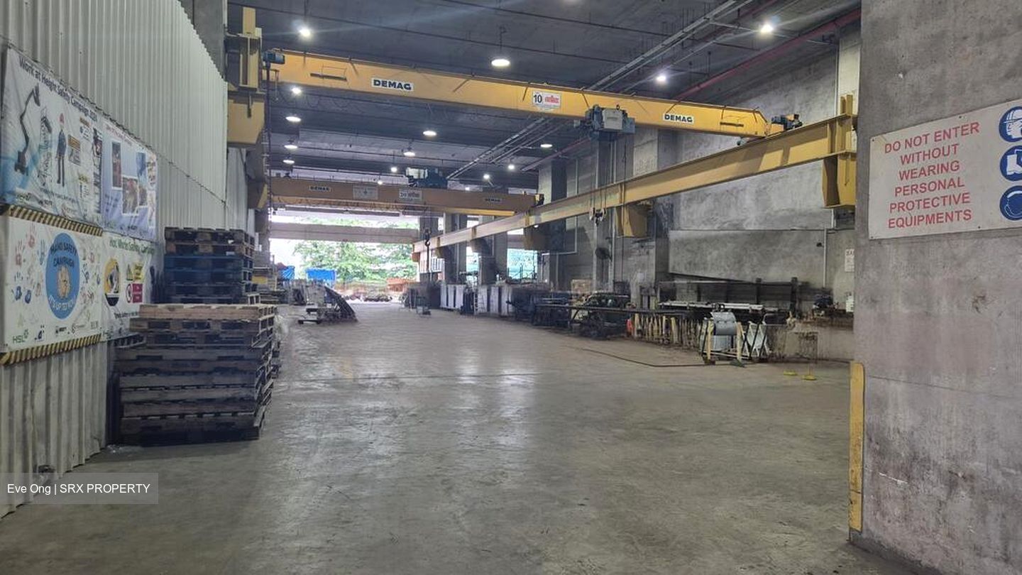 Tuas Avenue 9 (D22), Factory #454832991